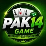 PAK14 Game
